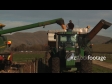 Maize Harvestor Unloads 1 1490